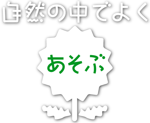 たんぽぽ保育園　自然の中でよくあそぶ