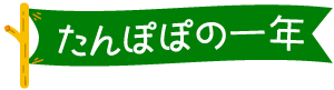 たんぽぽ保育園　たんぽぽの一年　文字