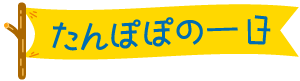 たんぽぽ保育園　たんぽぽの一日　文字